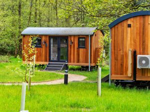 Tiny wooden homes and cabins in a rural setting